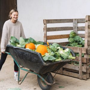 When is it Time To Start Autumn Vegetables get a quote