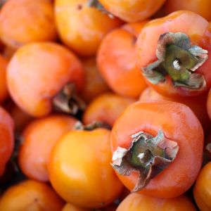 Diospyros khaki – Chinese Persimmon – Japanese Persimmon – Khaki – Japanese Date Plum – Persimmon – Ebony – get a quote