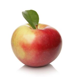 Apple – Zestar Apple tree – Malus get a quote
