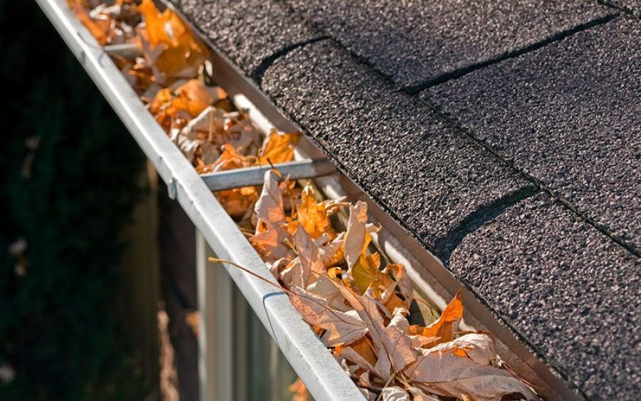 clean leaves from gutters