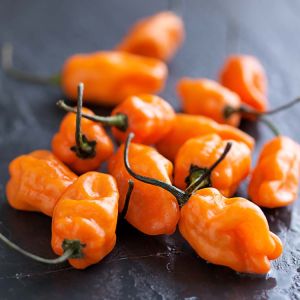 Pepper – Habanero Pepper – Extra extra hot get a quote