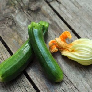 Zucchini – Black Beauty Zucchini get a quote