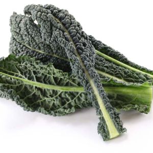 Kale – Lacinato Kale get a quote