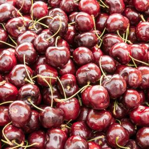 Cherry – Stella Sweet Cherry tree get a quote