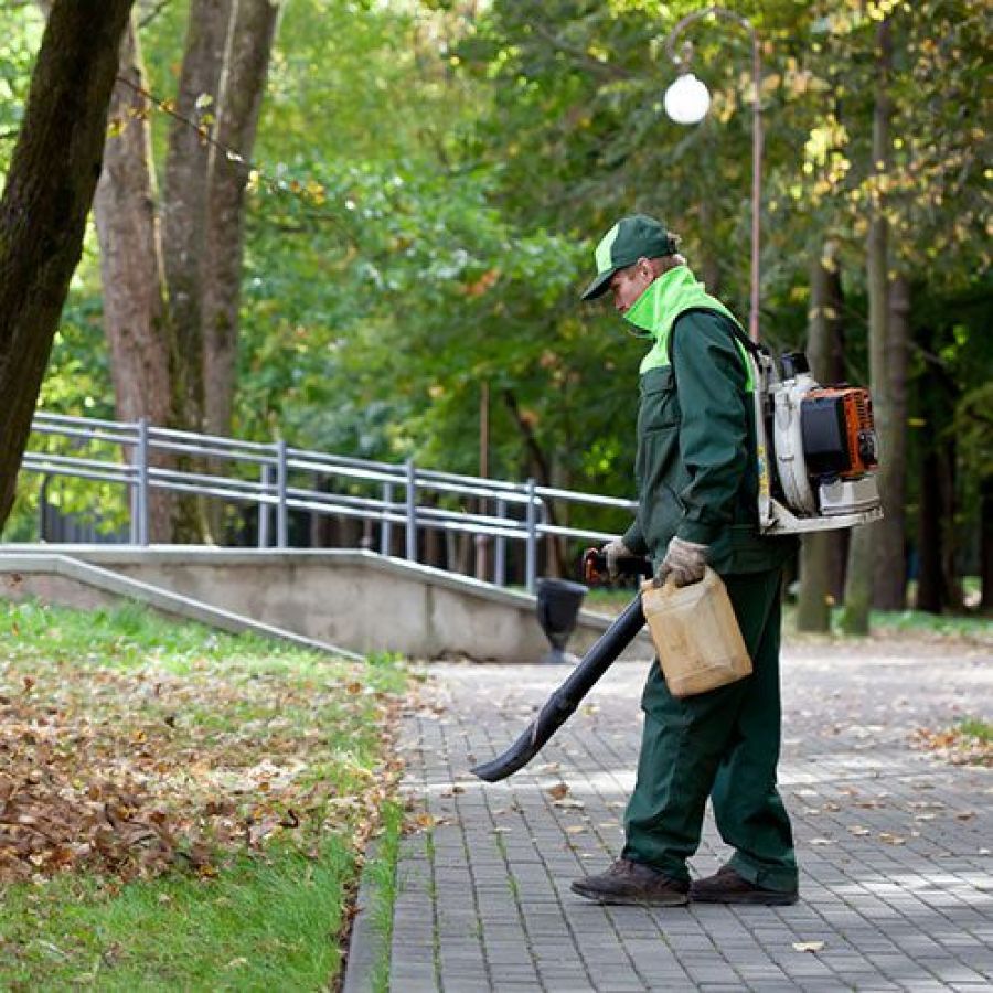 Fall cleanup leaf blowing