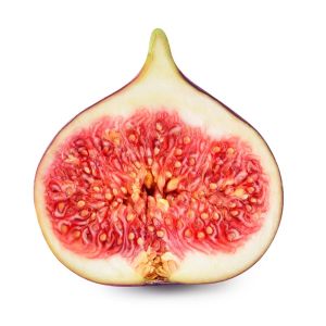 Ficus carica – Common Fig – Fig – get a quote