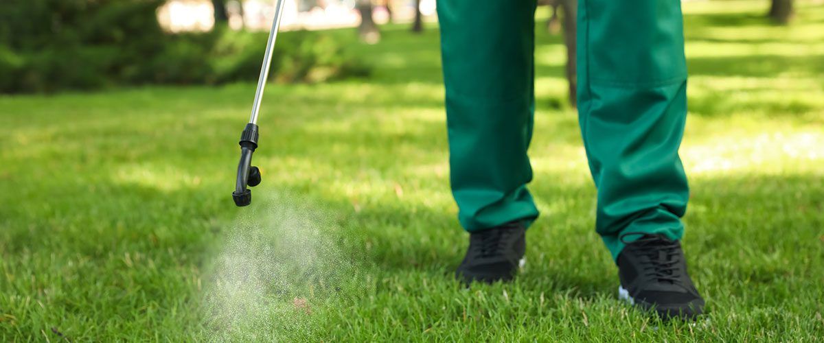 professional pesticide treatment