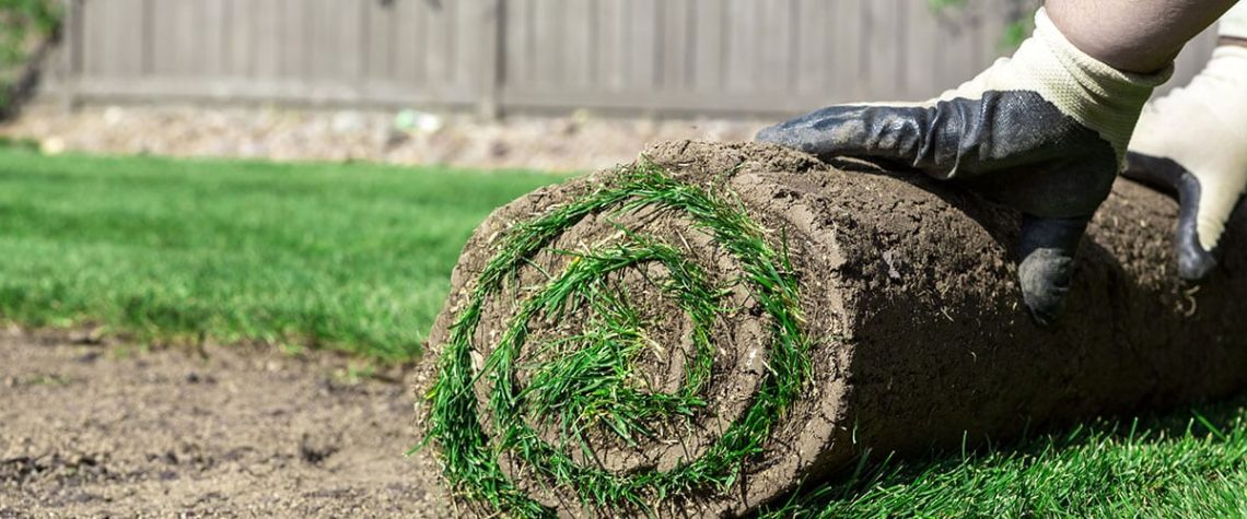 Sod Installation Service