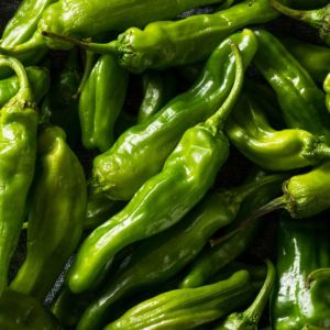 Pepper – Shishito Sweet Pepper get a quote