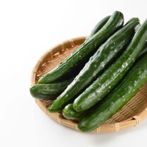 Cucumber – Japanese Cucumber get a quote