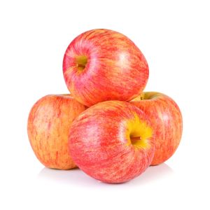 Apple – Gala Apple tree – Malus get a quote