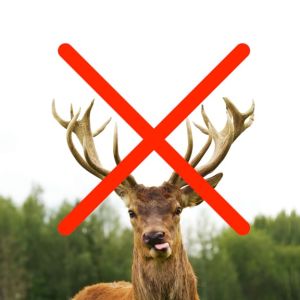 Buy Deer Resistant Plants