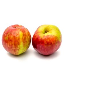 Apple – Gravenstein Apple tree – Malus get a quote