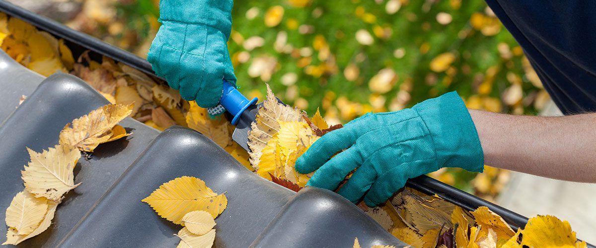 Professional Gutter Cleaning