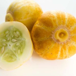 Cucumber – Lemon Cucumber get a quote