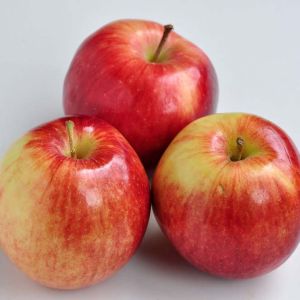 Apple – Empire Apple tree – Malus get a quote