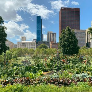 What Is Urban Gardening? get a quote