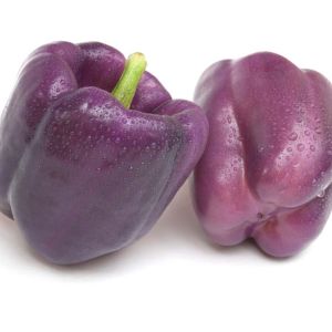 Pepper – Purple Bell Pepper get a quote