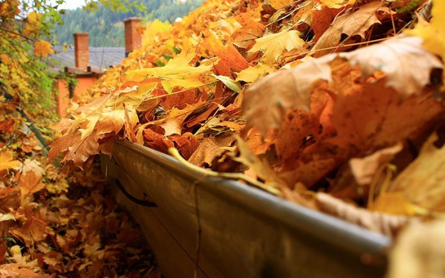 very dirty gutters need cleaning